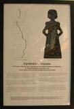 cynthias-compass