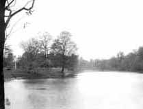 Old Beechwold