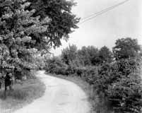 Old Beechwold